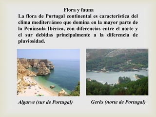 Flora y fauna
La flora de Portugal continental es característica del
clima mediterráneo que domina en la mayor parte de
la Península Ibérica, con diferencias entre el norte y
el sur debidas principalmente a la diferencia de
pluviosidad.
Algarve (sur de Portugal) Gerês (norte de Portugal)
 