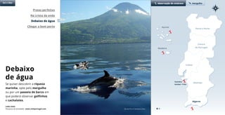 Debaixo
de água
Se quiser descobrir a riqueza
marinha, opte pelo mergulho
ou por um passeio de barco em
que poderá observar golfinhos
e cachalotes.
Praias perfeitas
Na crista da onda
Debaixo de água
Chegar a bom porto
Sol e Mar
Porto e Norte
Lisboa
Açores
Alentejo
Algarve
Sesimbra
Setúbal / Tróia
observação de cetáceos mergulho
Madeira
Links úteis
Pesquisa de atividades www.visitportugal.com Ilha do Pico © Norberto Diver
Centro
de Portugal
 