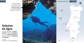 Praias perfeitas
Na crista da onda
Debaixo de água
Chegar a bom porto
Porto e Norte
Lisboa
Alentejo
Algarve
Açores
Sol e Mar mergulhoobservação de cetáceos
Madeira
Peniche
Sesimbra
Debaixo
de água
Se quiser descobrir a riqueza
marinha, opte pelo mergulho
ou por um passeio de barco em
que poderá observar golfinhos
e cachalotes.
Links úteis
Pesquisa de atividades www.visitportugal.com Algarve © R.T. Algarve
Centro
de Portugal
 