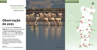 Observação
de aves
Com uma grande variedade de
habitats, Portugal apresenta também
a maior diversidade de aves da
Europa, com cerca de 360 espécies
identificadas, 70 das quais restritas
à bacia mediterrânica.
Seja um ornitólogo especializado ou
simplesmente curioso, aceite o desafio
e aventure-se à descoberta pelos 36 sítios
de interesse para observação e 7 sugestões
de itinerários.
Açores
Madeira
observação de avesNatureza
Lisboa
Porto e Norte
Centro
de Portugal
Alentejo
Algarve
Peneda-Gerês
Montesinho
Douro
Internacional
Ria
de Aveiro
Estuário
do Mondego
Paul de Arzila
Serra
da Estrela
Tejo
Internacional
Berlengas
e Peniche
Estuário
do Tejo
Caia e
Campo Maior
Vila Fernando
e Veiros
Cabeção
Estuário
do Sado
Lagoa de
Santo André
Cuba e Lagoa
dos Patos
Castro Verde
Península
de Sagres
Lagoa dos
Salgados
Ria Formosa
Castro
Marim
Percursos na natureza
Observação de aves
Dias de aventura
Links úteis
Roteiro de Observação de Aves www.visitportugal.com Flamingos © João Jara
Mourão, Moura,
Barrancos e Mértola
 
