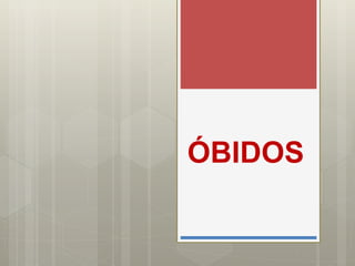 ÓBIDOS
 