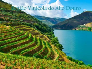 Região Vinícola do Alto Douro
 