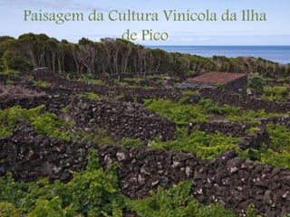 Paisagem da Cultura Vinícola da Ilha
de Pico
 