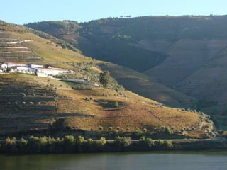 Portugal   Douro - Outono