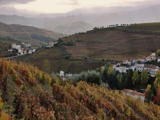 Portugal   Douro - Outono