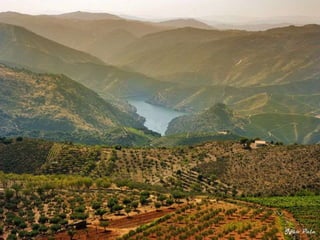 Portugal   Douro - Outono