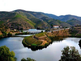 Portugal   Douro - Outono
