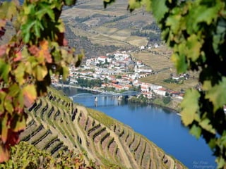 Portugal   Douro - Outono
