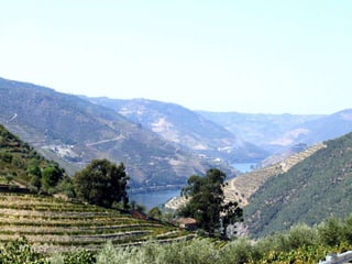 Portugal   Douro - Outono