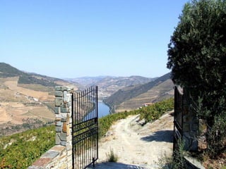 Portugal   Douro - Outono