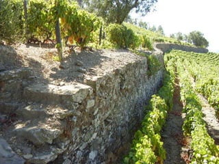 Portugal   Douro - Outono