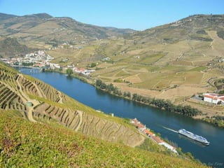 Portugal   Douro - Outono