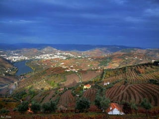 Portugal   Douro - Outono