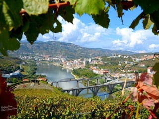 Portugal   Douro - Outono