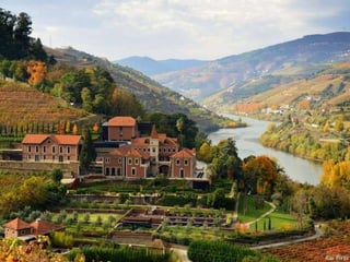 Portugal   Douro - Outono
