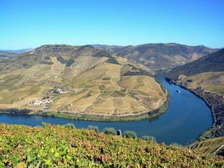 Portugal   Douro - Outono