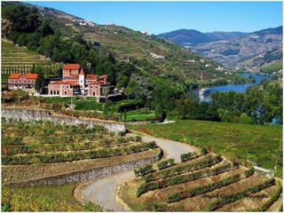 Portugal   Douro - Outono