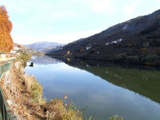 Portugal   Douro - Outono