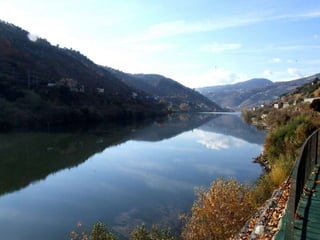 Portugal   Douro - Outono