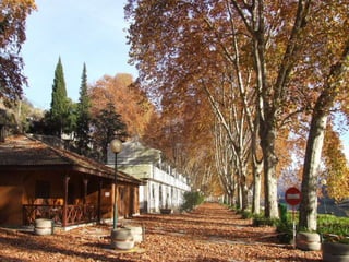 Portugal   Douro - Outono