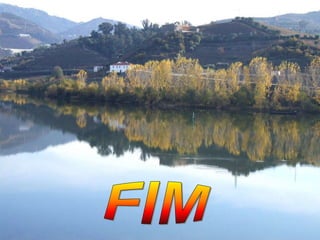 Portugal   Douro - Outono