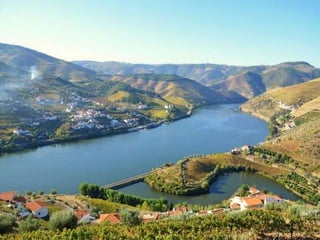 Portugal   Douro - Outono