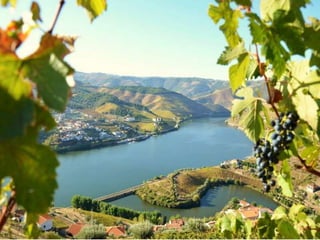 Portugal   Douro - Outono