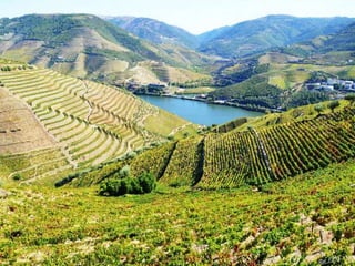 Portugal   Douro - Outono