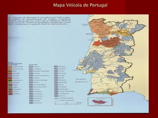 Regiões vinícolas demarcadas de Portugal