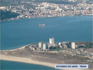 ESTUÁRIO DO SADO - TROIA
 