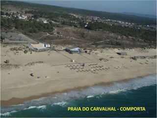PRAIA DO CARVALHAL - COMPORTA
 
