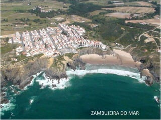 ZAMBUJEIRA DO MAR
 