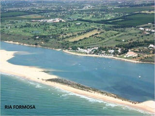 RIA FORMOSA
 