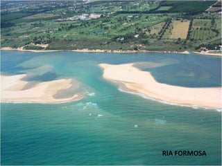 RIA FORMOSA
 