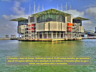 O Oceanário, o maior da Europa. Habitado por mais de 16.000 animais marinhos, que representam mais de 450 espécies diferentes com a reprodução de seus habitats. O Oceanário oferece aos que o visitam, uma experiência única e encantadora. 