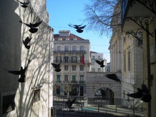 Lost in Lisbon by kinderbook

20

 