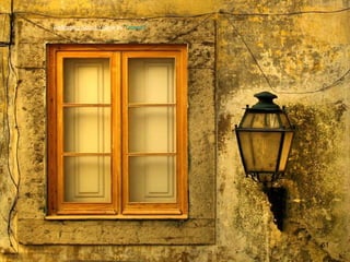 Reflecting About Yellow by TeresaT

61

 