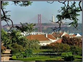 Ajuda's Botanical Garden by apazevedo

73

 