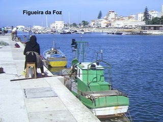Figueira da Foz 