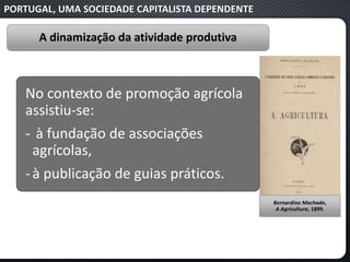 PORTUGAL, UMA SOCIEDADE CAPITALISTA DEPENDENTE
A dinamização da atividade produtiva
No contexto de promoção agrícola
assistiu-se:
‐ à fundação de associações
agrícolas,
‐à publicação de guias práticos.
Bernardino Machado,
A Agricultura, 1899.
 