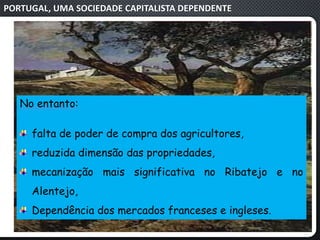 PORTUGAL, UMA SOCIEDADE CAPITALISTA DEPENDENTE
No entanto:
falta de poder de compra dos agricultores,
reduzida dimensão das propriedades,
mecanização mais significativa no Ribatejo e no
Alentejo,
Dependência dos mercados franceses e ingleses.
 