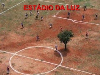 ESTÁDIO DA LUZ
 