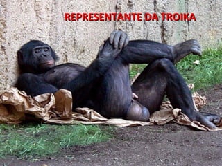 REPRESENTANTE DA TROIKA
 