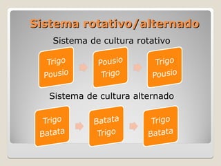 Sistema rotativo/alternado
Sistema rotativo/alternado
Sistema de cultura rotativo
Sistema de cultura alternado
 