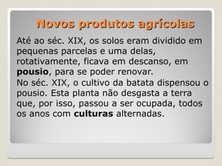 Novos produtos agrícolas
Novos produtos agrícolas
Até ao séc. XIX, os solos eram dividido em
pequenas parcelas e uma delas,
rotativamente, ficava em descanso, em
pousio, para se poder renovar.
No séc. XIX, o cultivo da batata dispensou o
pousio. Esta planta não desgasta a terra
que, por isso, passou a ser ocupada, todos
os anos com culturas alternadas.
 