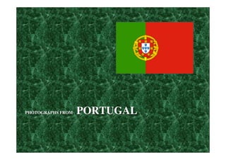 PHOTOGRAPHS FROM

PORTUGAL

 