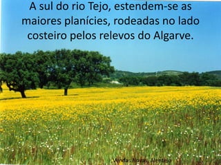 Vendas Novas, AlentejoA sul do rio Tejo, estendem-se as maiores planícies, rodeadas no lado costeiro pelos relevos do Algarve.                                                                                             