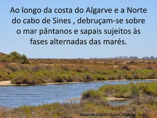 Ao longo da costa do Algarve e a Norte do cabo de Sines , debruçam-se sobre o mar pântanos e sapais sujeitos às fases alternadas das marés.Sapal de Castro Marim, Algarve