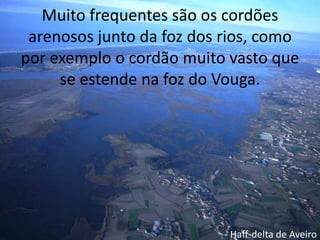 Muito frequentes são os cordões arenosos junto da foz dos rios, como por exemplo o cordão muito vasto que se estende na foz do Vouga.Haff-delta de Aveiro