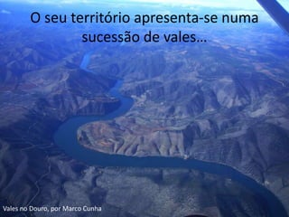 O seu território apresenta-se numa sucessão de vales…Vales no Douro, por Marco Cunha